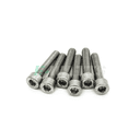 Vis roue / jante Dualtron inox A4-80